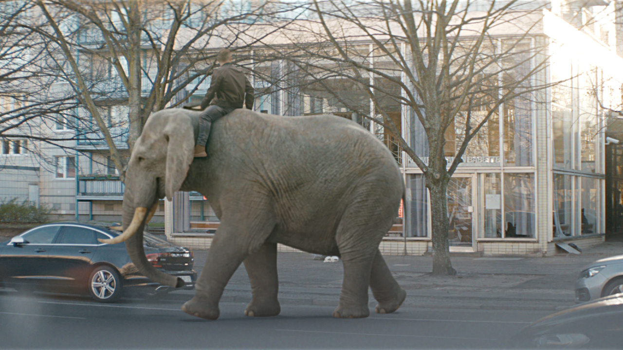 XTip – Lukas Podolski rides the elephant